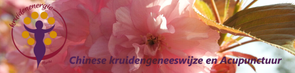 Praktijk voor Chinese kruidengeneeswijze en Acupunctuur